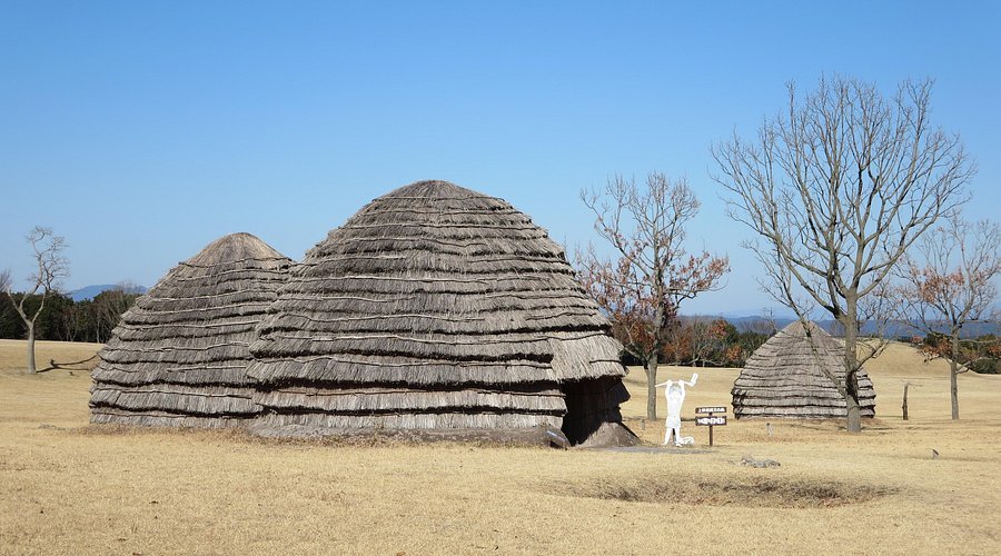🏞️ 우에노하라 조몬의 숲 이미지 5